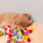 🐱 Passez plus de temps avec vos animaux : Pistolet lance‑balles en peluche 🎯