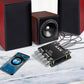 💎 50 % DE RÉDUCTION ! 💎 Module amplificateur audio Bluetooth 2.1 canaux – Diffusion sans fil, caisson de basses 100 W et système audio compact à monter soi-même 🔊🎵