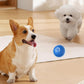 🔥 Dernier Jour −50%🐶 Balle Intelligente Automatique pour Chien – Résistante aux Morsures, Jouet Interactif d’Exercice