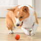 🔥 Dernier Jour −50%🐶 Balle Intelligente Automatique pour Chien – Résistante aux Morsures, Jouet Interactif d’Exercice
