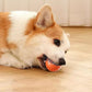 🔥 Dernier Jour −50%🐶 Balle Intelligente Automatique pour Chien – Résistante aux Morsures, Jouet Interactif d’Exercice