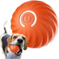 🔥 Dernier Jour −50%🐶 Balle Intelligente Automatique pour Chien – Résistante aux Morsures, Jouet Interactif d’Exercice