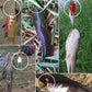 🎣 50% DE RÉDUCTION ! ✨ Ensemble de Leurres de Pêche Réalistes - 24 Leurres Robustes avec Boîte de Rangement, Idéal pour Débutants et Experts 🐟📦