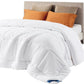 🛏️ 50% DE RÉDUCTION ! ☁️ Couette Matelassée Légère et Respirante – Toute Saison, Douce & Confortable 🌙