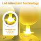 Boule Adhésive pour Attraper les Moucherons avec Support et LED