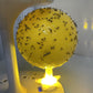 Boule Adhésive pour Attraper les Moucherons avec Support et LED