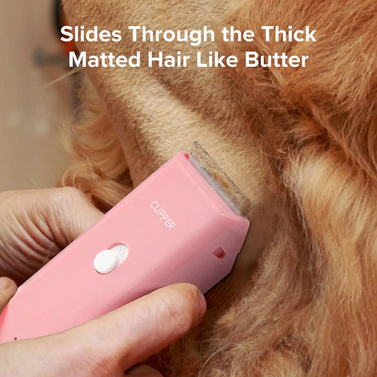 ✂️📢 50% DE RÉDUCTION !🐶 Tondeuse sans fil et silencieuse pour animaux – Pour chiens, chats et petits animaux de compagnie, douce et à faibles vibrations ✨