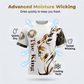 🦁 40 % DE REMISE ! ! ✨ Ensemble graphique Lion pour hommes – Bold, respirant, urbain et cool cool 😎
