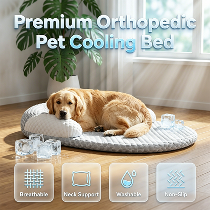 🛌💤 50% DE RÉDUCTION ! 🐶 Lit Rafraîchissant Respirant pour Animaux
