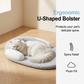 🛌💤 50% DE RÉDUCTION ! 🐶 Lit Rafraîchissant Respirant pour Animaux