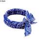 🐶🐱❄️ Bandana Rafraîchissant d'Été pour Animaux