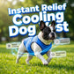 🐶 OFFRE LIMITÉE -50% ! ✨ Gilet Rafraîchissant pour Chien – Maille Respirante, Soulagement de la Chaleur, Animaux Actifs 🌊