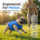 🐶 OFFRE LIMITÉE -50% ! ✨ Gilet Rafraîchissant pour Chien – Maille Respirante, Soulagement de la Chaleur, Animaux Actifs 🌊