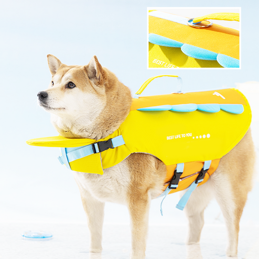 Gilet de Sauvetage Haute Flottabilité pour Chien – Natation & Baignade