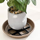 🌿🌹 Surhélève-Pot Protecteur de Racines – élève les jardiniers, favorise la circulation d’air, garde les sols propres – usage intérieur & extérieur. 🔥🏠