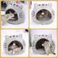 🐱 PROMO FLASH : 50% DE RÉDUCTION ! Lit-Tente 2-en-1 pour Animal – Design Dôme & Balle Interactive for Un Sommeil Paisible et des Heures de Jeu 🏠✨