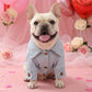 👗 Veste en Jean Princesse pour Chien – Vêtement Ajustable Tendance pour Petits & Moyens Chiens, Jean Lavé Doux avec Accent Nœud 🐩✨