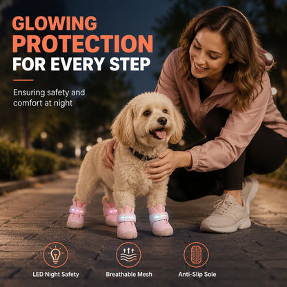 🐶 OFFRE LIMITÉE −50% ! ✨ Chaussures Respirantes pour Chien avec Lumières LED – Maintien Sécurisé, Visibilité Nocturne, Protection des Pattes 🌙