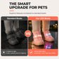 🐶 OFFRE LIMITÉE −50% ! ✨ Chaussures Respirantes pour Chien avec Lumières LED – Maintien Sécurisé, Visibilité Nocturne, Protection des Pattes 🌙