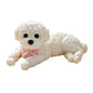 🧸 50% DE RÉDUCTION! 🐶 Nounours anti‑stress – Doux, compressible & réconfortant – Idéal pour le bureau 🌙