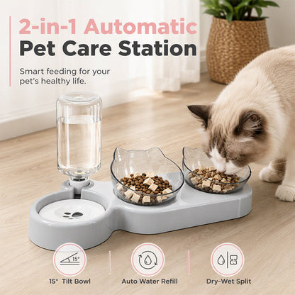 ⏳Offre Limitée 50% de Réduction⏰ Gamelle Surlevée Inclinée 2-en-1 Ergonomique pour Animaux