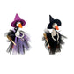⏳🔥OFFRE LIMITÉE −50% !⏰🧙 Déguisement d’Oie Sorcière pour Halloween – Design Festif, Pose Facile 🎃✨