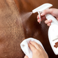 🧴 PROMO FLASH : 50% DE RÉDUCTION ! Spray Nettoyant et Protecteur pour Cuir – Formule Tout-en-Un Sans Rinçage for Canapés, Bottes et Sièges Auto ✨🚗