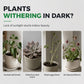 📢📢50% DE RÉDUCTION !! ⏰🌱 Lampe de Croissance LED Plein Spectre pour Plantes