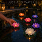 🪷 Économisez 50 % ! 💡 Lumières flottantes en forme de lotus – Étanches, à LED et prêtes à être mises dans un bassin