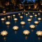 🪷 Économisez 50 % ! 💡 Lumières flottantes en forme de lotus – Étanches, à LED et prêtes à être mises dans un bassin