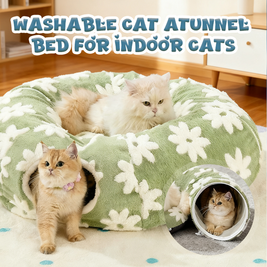 📢📢 50 % DE RÉDUCTION ! ⏰ Tunnel-lit lavable pour chat d’intérieur