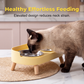Elevated Double Pet Feeder