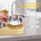Elevated Double Pet Feeder
