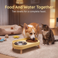 Elevated Double Pet Feeder