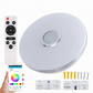 Plafonnier LED intelligent à musique avec haut-parleur Bluetooth