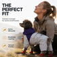 🐕🌧️ ⏳🔥 OFFRE LIMITÉE −50% ! ⏰ Imperméable Intégral pour Animaux À Quatre Pattes | Protège Pattes & Ventre de la Boue et de la Pluie 🏃