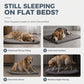 🐾 PROMO FLASH : 50% DE RÉDUCTION ! Tapis de Couchage Orthopédique pour Chien & Chat – Garnissage Haute Résilience & Tissu Respirant for un Sommeil Confortable et Réparateur 💤✨