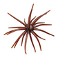 ⏳ Offre limitée : -50 % ⏰ Leurre souple de pêche imitation oursin
