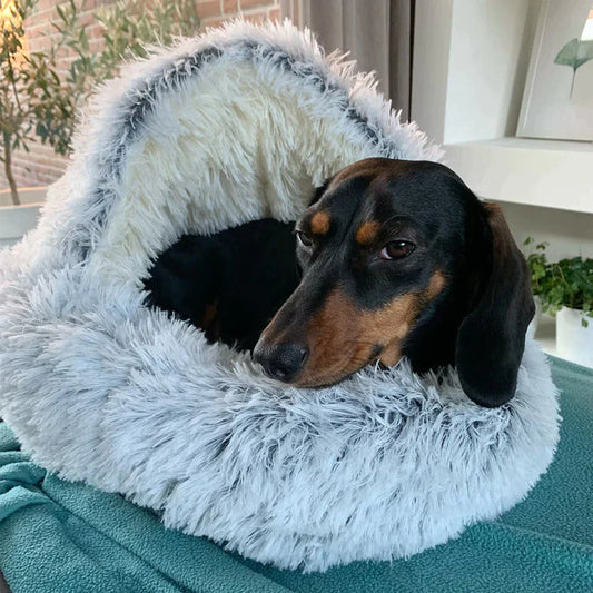 😽 Offre de début d’hiver : -50% 🐶 Made For Pawz - Nid douillet pour animaux