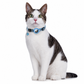 📢📢 -50 % !! ⏰ Collier réfléchissant pour chat avec traceur de localisation intelligent étanche